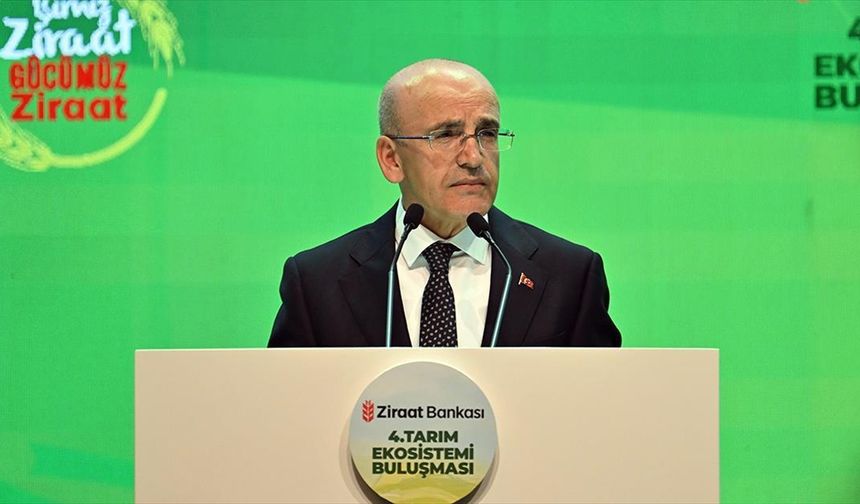 Bakan Şimşek: Son bir yıldır kesintisiz devam eden dezenflasyon süreci söz konusu