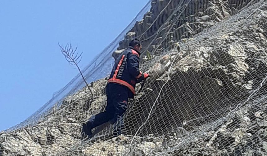 Malatya'da koruma tellerine takılan 2 yaban keçisi kurtarıldı