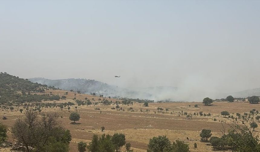 Mardin'de ormanlık alanda çıkan yangına müdahale ediliyor