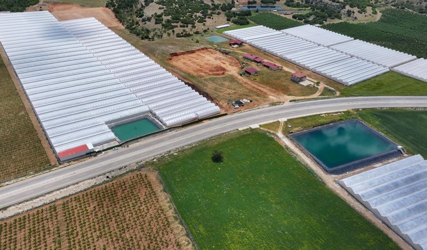 Seracılığın merkezi Elmalı'da kuraklığa "yağmur suyu hasadı" ile çözüm