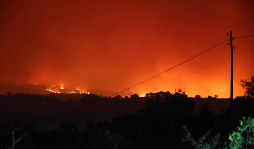 Bilecik’te korkutan orman yangını