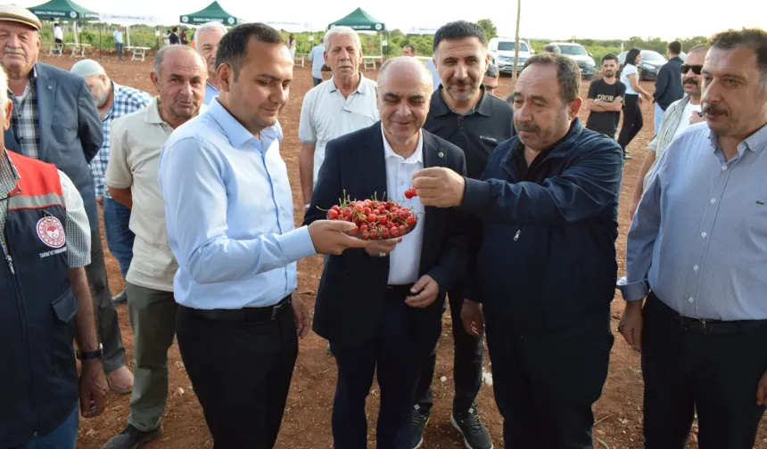 Mardin Ömerli'de doğa ve kültür buluştu