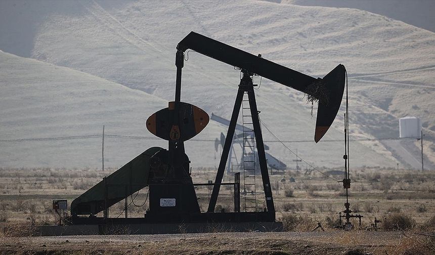 OPEC’in ham petrol üretimi haziranda günlük 220 bin varil arttı