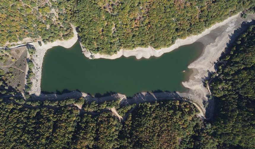 Bilecik'teki barajların su seviyesinin düşmesi ürünlerde verim kaybına neden oldu