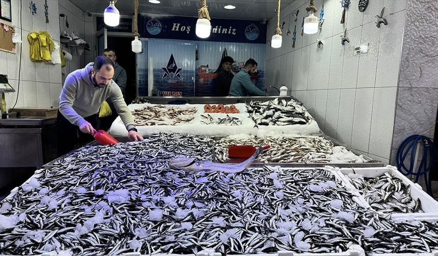 Hamsi avcılığı hem balıkçıyı hem tüketiciyi memnun etmeyi sürdürüyor