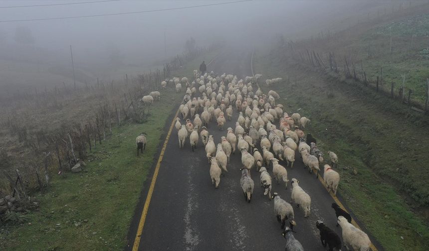 Sisler altındaki Karadeniz yaylalarından dönüş yolculuğu başladı