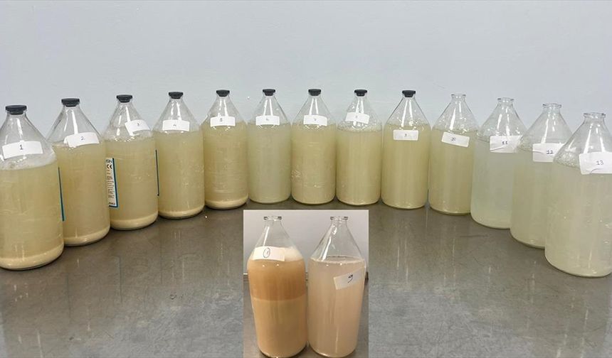 Akciğer yıkaması yöntemiyle hastalar yeniden rahat nefes alıyor