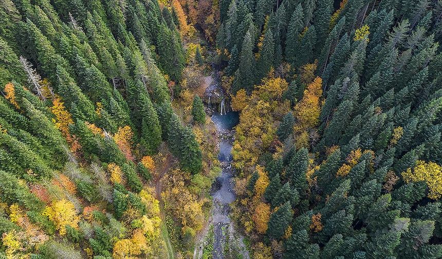 Azdavay'ın saklı güzelliği 'Saray Şelalesi'nde sonbahar tüm renkleriyle yaşanıyor
