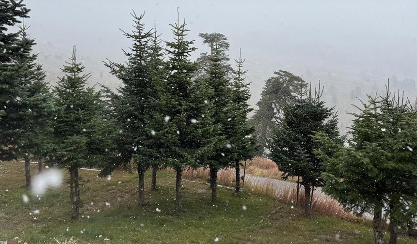 Bolu'nun yüksek kesimlerine kar yağdı