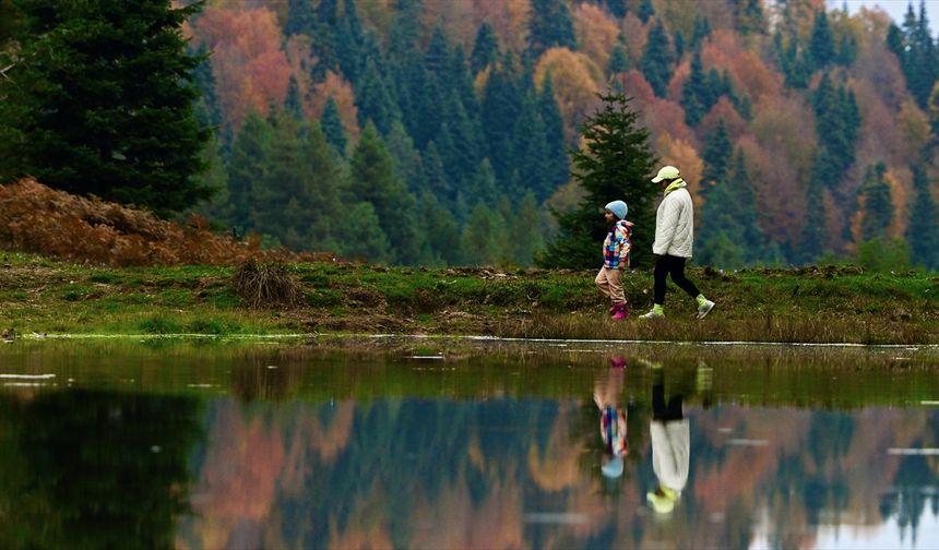 Düzce, Sakarya ve Bolu'da sonbaharın tonları doğayı renklendirdi