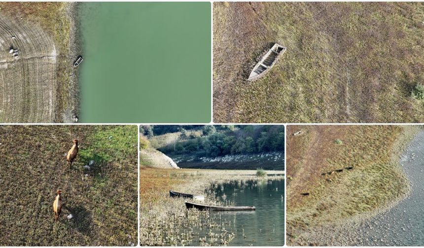 İklim değişikliğine bağlı kuraklıkla mücadelede 'su hasadı' bilinci artırılmalı