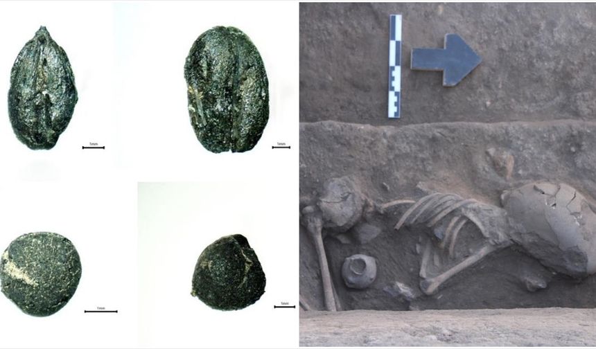 Küllüoba'da bulunan tohum ve bitki kalıntıları, ölü gömme ritüelini ortaya koydu