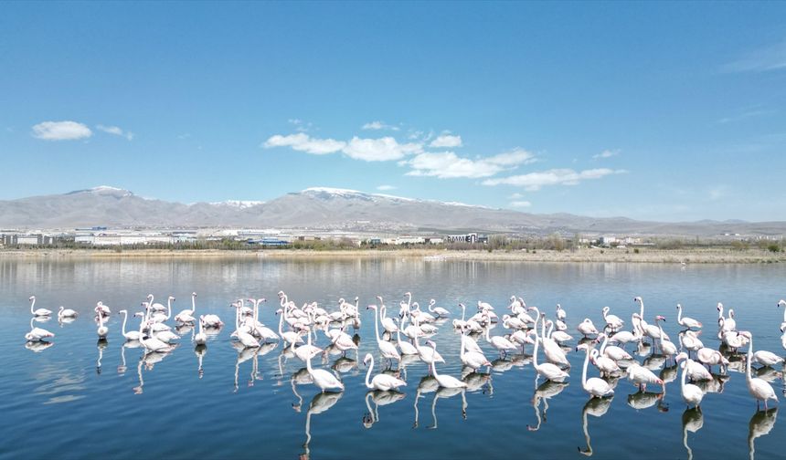 Niğde'deki barajların doluluk oranı kuraklık nedeniyle düştü