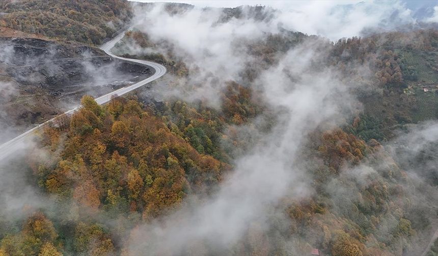 Ordu'da etkili olan sis sonbahar renkleriyle güzel görüntü oluşturdu