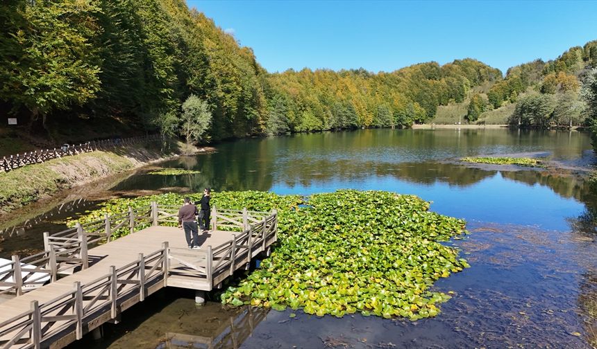 Ordu'daki Ulugöl Tabiat Parkı 9 ayda 220 bin ziyaretçiyi ağırladı