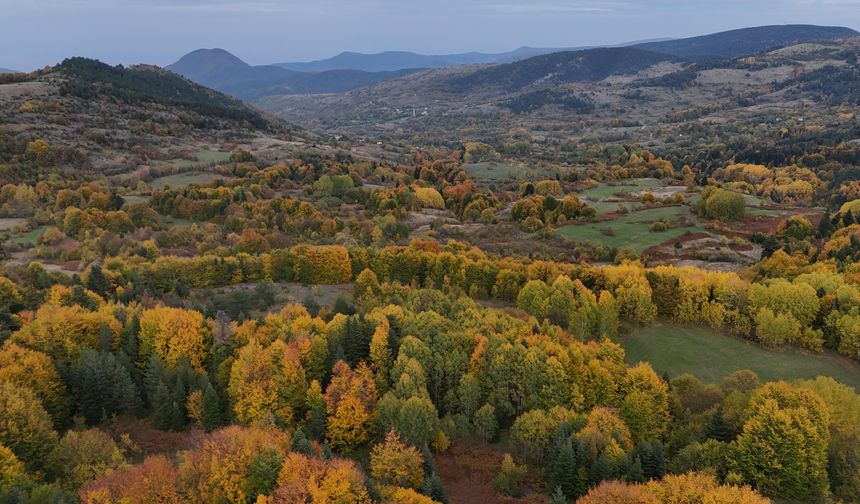Sinop'ta sonbahar renkleri hakim oldu