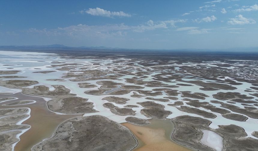 Tuz Gölü'nde yaşanan kuraklık biyolojik çeşitliliği de etkiliyor