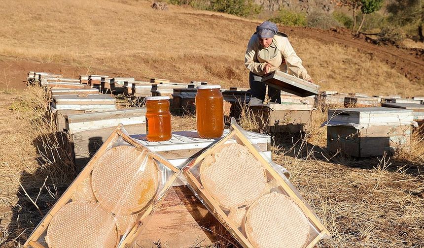 Üretim için şehirden köyüne dönerek arıcılığa başladı