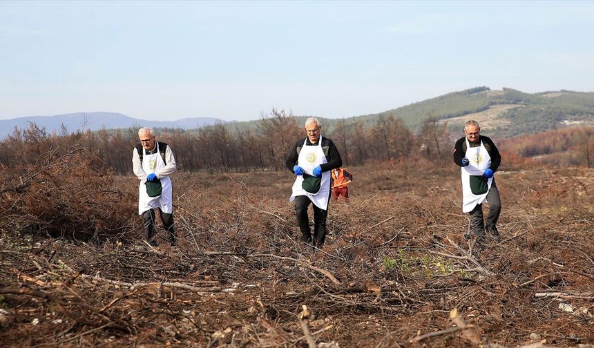 'Alev savaşçıları' bu kez fidan dikimi için sahada