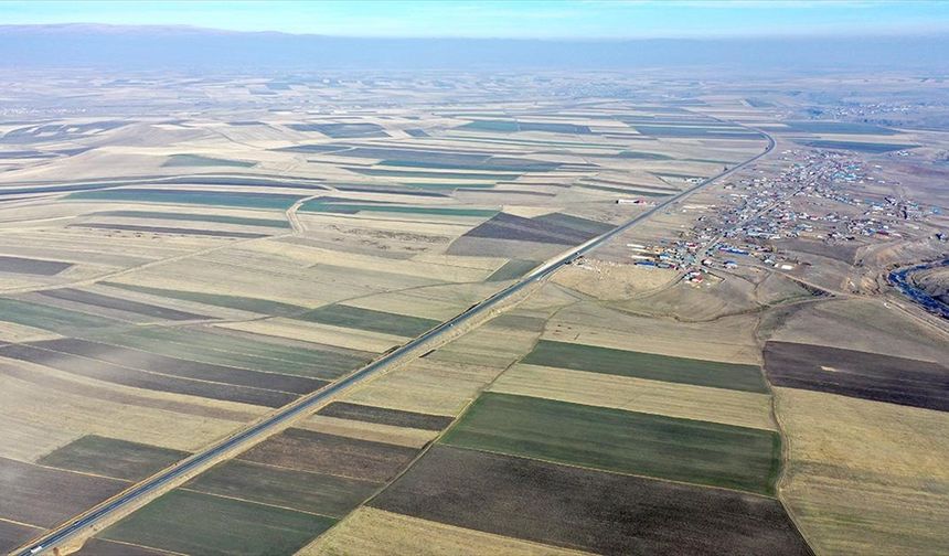 Hasadın tamamlandığı Kars Ovası'ndaki tarlalar 'halı desenini' andırıyor