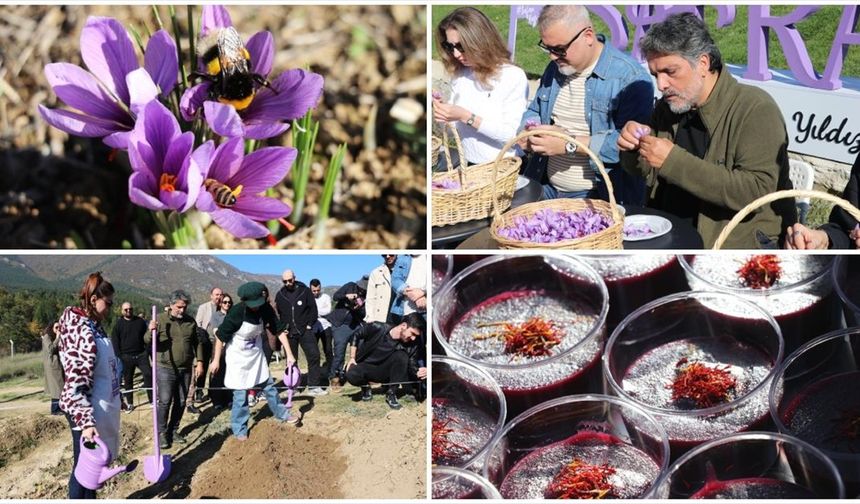 Karabük'te 'Safran İmecesi' etkinliği düzenlendi