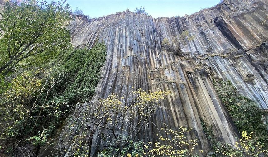 Sinop'ta milyon yıllık bazalt kayalıkları sonbahar renklerine büründü