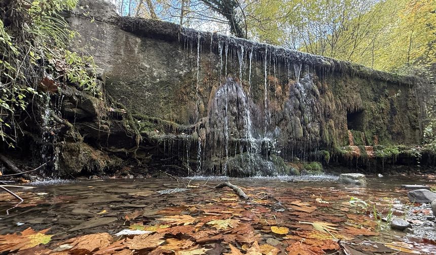 Tekirdağ'da sonbahar renklerine bürünen ormanlar doğa tutkunlarını bekliyor