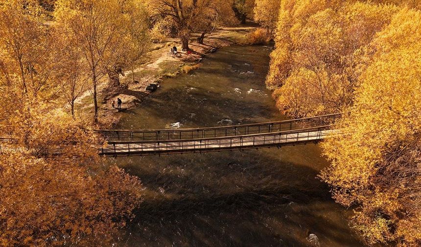 Van'daki İnci Kefali Tabiat Parkı sonbahar renklerine büründü