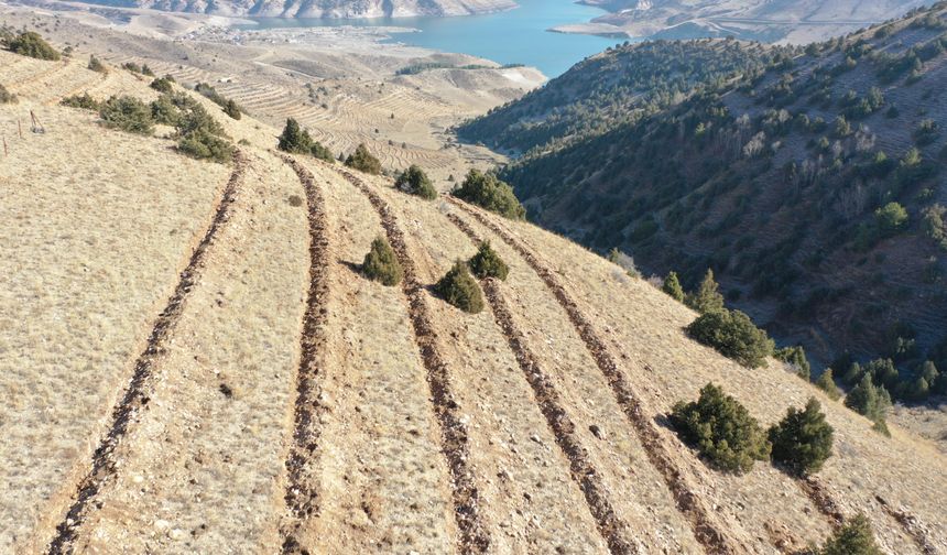 Doğu'da 9 milyon tohum ve fidan toprakla buluşturuldu