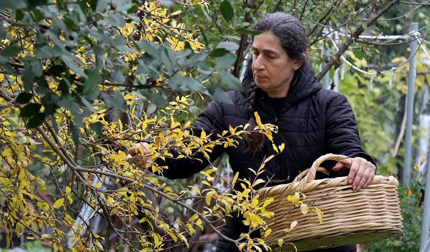 El emeği ipeği özgün tasarımlara dönüştürüyor