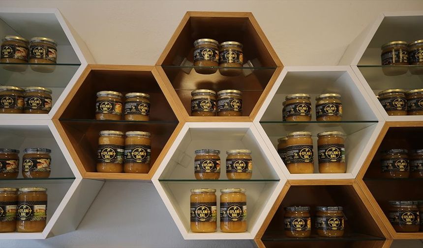 Karabük'te gençlerin ve kadınların istihdamını hedefleyen arıcılık projesi tamamlandı