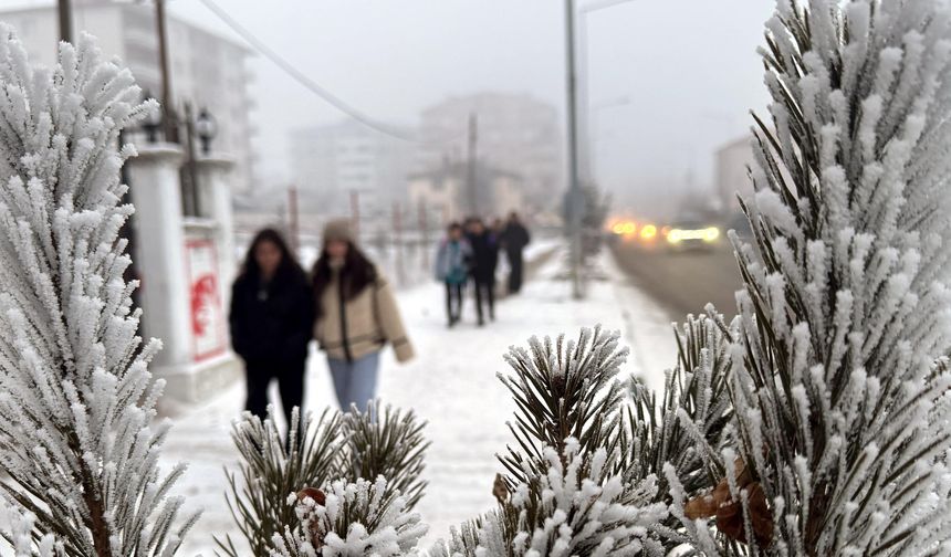 Kars, Ardahan ve Ağrı'da dondurucu soğuklar etkisini sürdürüyor