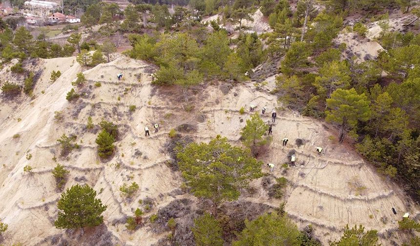 Orman işçileri erozyona karşı da sahada