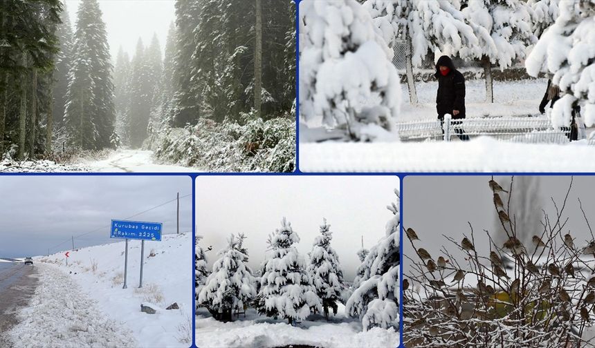 Yurdun bazı kesimlerinde kar yağışı ve soğuk hava etkili oluyor