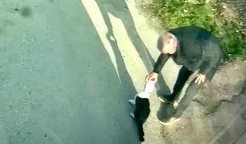 Kafasına Konserve Kutusu Sıkışan Kediyi MOTAŞ Şöförü Kurtardı