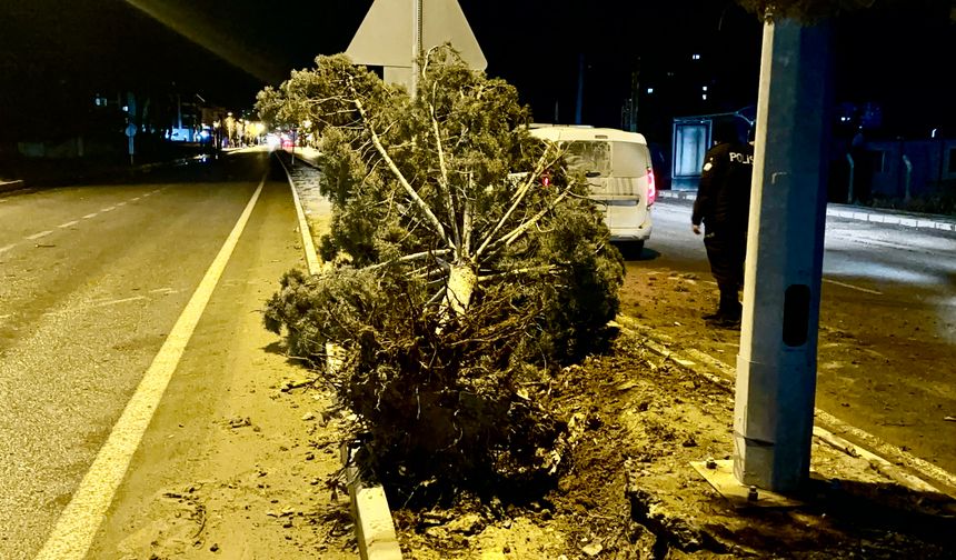 Malatya'da Fırtınalı Gece Hasara Yol Açtı