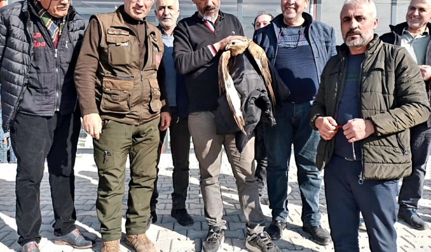 Yeşilyurt'ta Yaralı Kızıl Şahin Duyarlı Vatandaşlarca Kurtarıldı