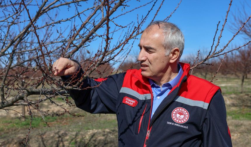 Akar: 'Kayısıda Bu Yıl Üreticimizin Beklediği Verimi Almayı Umuyoruz'