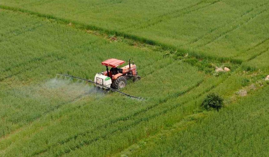 Çiftçilere 10,6 Milyar TL Tarımsal Destek Ödemesi Bugün Hesaplara Yatıyor