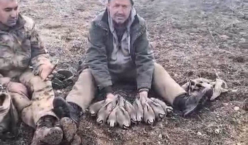 Malatya'da Keklik Popülasyonu İçin Saha Çalışması Yapıldı