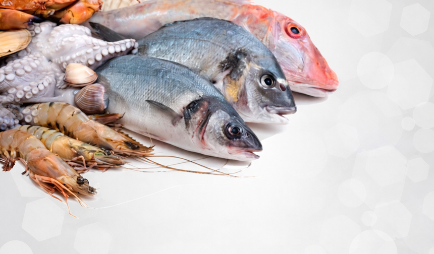 Malatya'da Su Ürünleri Av Yasağı Başlıyor