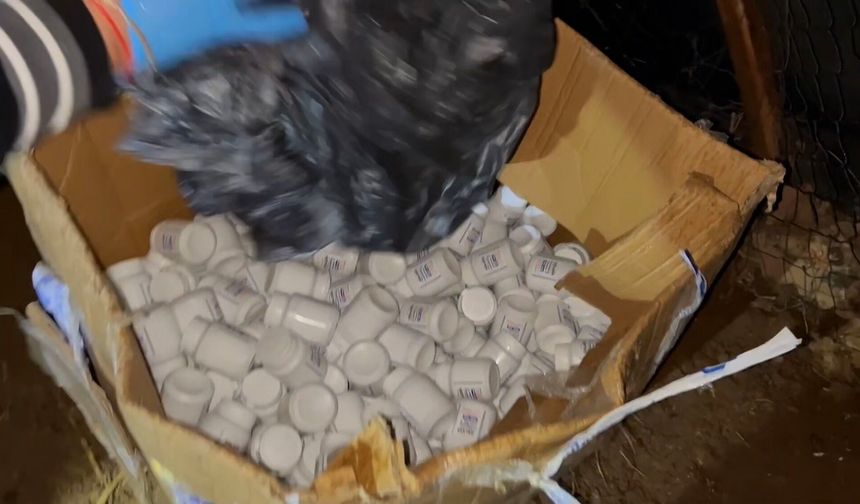Zehir Tacirlerine Darbe: On Binlerce Hap Ve Silah Ele Geçirildi