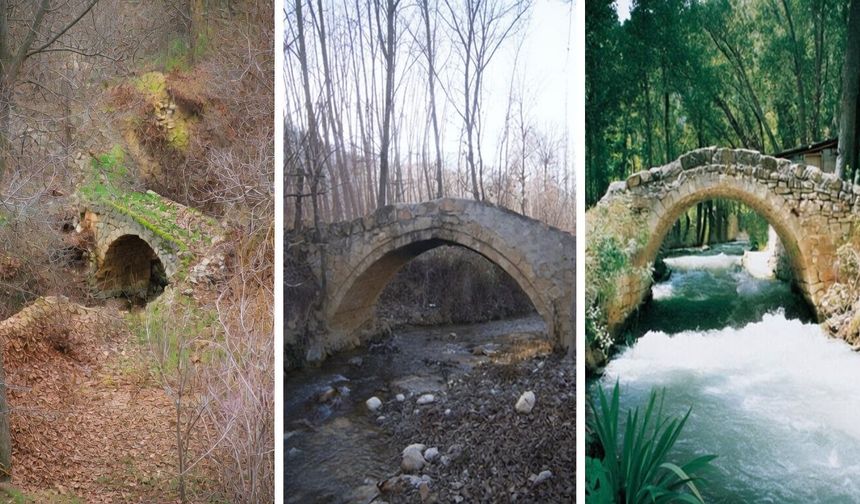 Aşudu Vadisindeki Tarihi Köprüler İçin Kritik Süreç