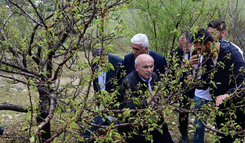 Başkan Er: Hasar Raporlanıp İlgili Mercilere Sunulacak
