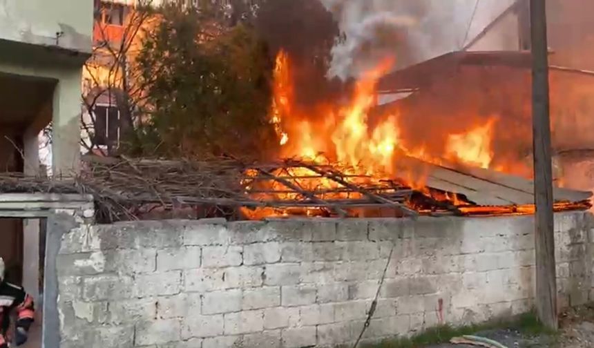 Gazi Mahallesi'nde Odunluk Yangını Paniğe Neden Oldu