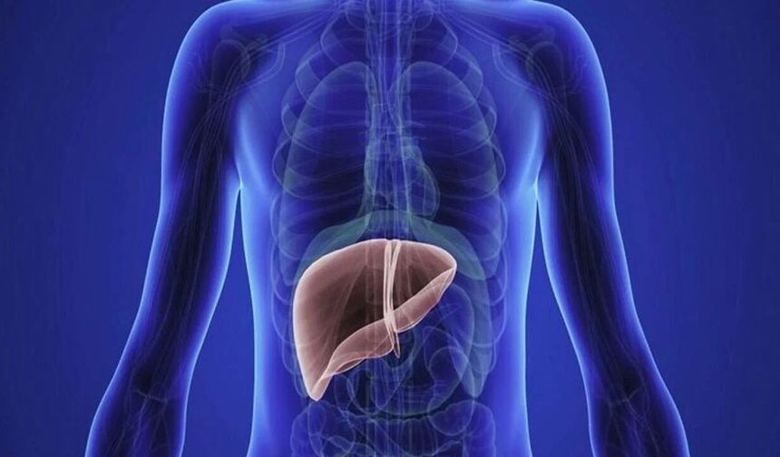 Karaciğere Ciddi Hasar Veren 5 Hata!