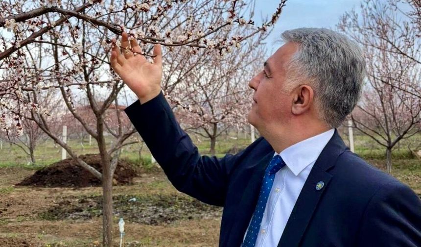 Karakurt: 'Kayısıyı Korumak Malatya'nın Geleceğini Korumaktır'