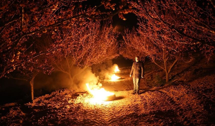 Kayısı Üreticileri Dona Karşı Sabaha Kadar Nöbette