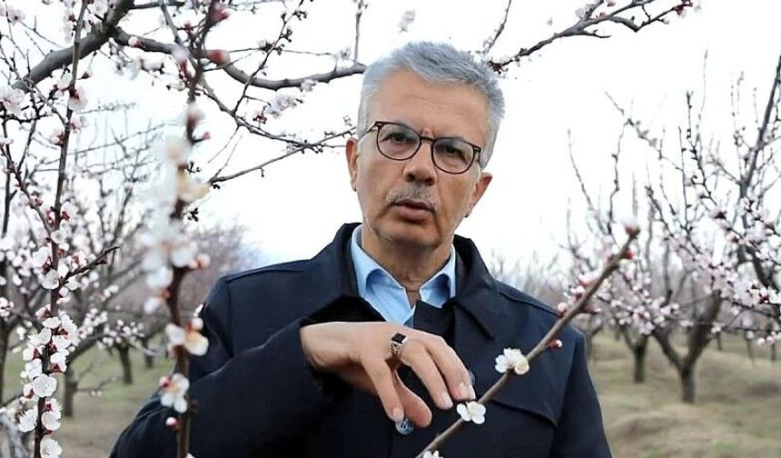 Kayısıda Kritik Uyarı: '-3 Derecede Tüm Ürün Kaybedilebilir'
