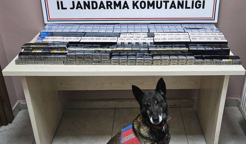 Kayseri-Malatya Karayolunda 2 Tırda Kaçak Sigara Ele Geçirildi